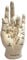 Nemesis Now Palmistry Chriomancy Wahrsagende Hand-Figur, Polyresin, weiß, 17,7 cm