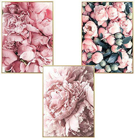 Martin Kench Poster Set, 3 Stück Wandbilder 3 Teilig Leinwandbild, Blumen Pfingstrose Poster Set Wandkunst, Ohne Rahmen, Kunstposter für Wohnzimmer (Stil D,30 x 40 cm)