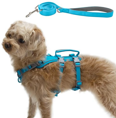 Wuffley Hundegeschirr mit Leine, Sicherheitsgeschirr Hund Ausbruchsicher, Anti Zug Hundegeschirr mit Assistenzgriff und Reflektierende, Leichtes Verstellbare Geschirr für Mittelgroße Hunde (Blau,S)