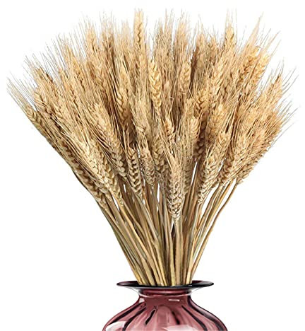Natürliche Weizen Deko Getrocknete Blumen Weizen Für Blumenstrauß, Requisiten, Künstliche Blumen Und Für Blumenstrauß, Requisiten, Künstliche Blumen Und Für - Oder Partydekorationen 45 cm