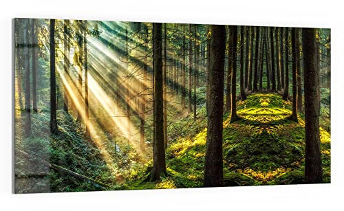 DEQORI WTD - Cuadro de cristal (100 x 50 cm), diseño de árboles