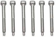 Guyker 6 Pcs String Lock Screws - Stainless Steel Lock Screw Compatible with FR Tremolo System Bridge Electric Guitar