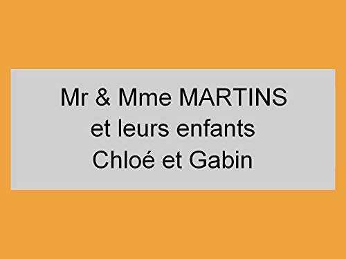 plaque ou etiquette boite aux lettres 3 lignes - argent 100x40mm