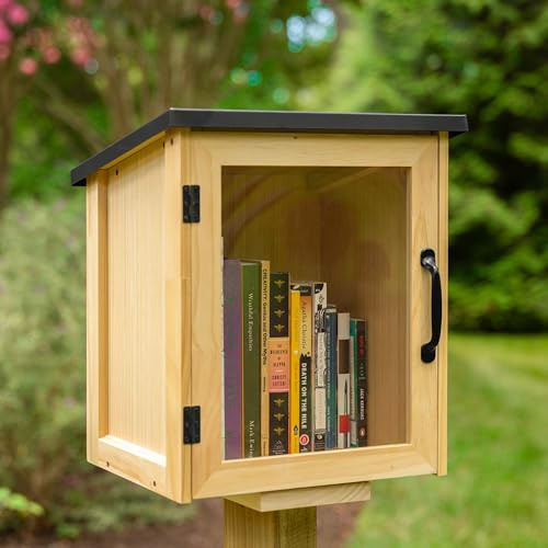 Ilyapa Scatola per libri per biblioteca all'aperto, kit di scambio letterario gratuito per esterni, piccolo armadietto in legno per condividere libri e arti, scatola per scambio Boox, 33 x 28 x 40 cm