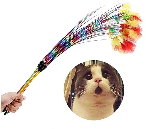 Happyyami À Plumes Colorées pour Chat Jouet Interactif Plastique avec Clochette Canne Arc-Ciel pour Chatons Couleurs Aléatoires pour Jeu Et Exercice