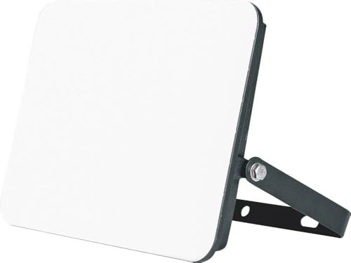 Müller-Licht Orlando 21600071 LED-Außenstrahler 20 W Neutralweiß