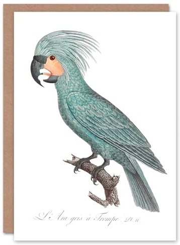 Artery8 Francois Levaillant Art Card The Palm Cockatoo Parrot