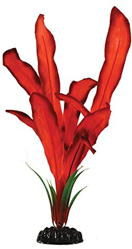 Red Bleheri Silk Like Plant 20cm by KenKoi