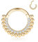 AROWRO 16G Septum Ring Septum Schmuck 10mm Daith Ohrringe Septum Clicker Nasenringe CZ Daith Piercing Schmuck Helix Tragus Rook Lobe Ohrringe 316L Chirurgenstahl Knorpelohrring Gold