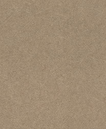 Rasch Tapeten Vliestapete (universell) Braun goldene 10,05 m x 0,53 m Concrete 520286