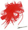 Fascinator Hut Damen Kopfschmuck Hochzeit Hüte Hat Clips Schleier Stirnband Tea Party Mesh Kopfbedeckung Frauen Pillbox Hut Haarschmuck für Cocktail Halloween Oktoberfest Gothic Rot