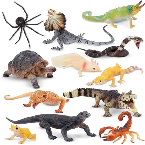 toymany 12 pièces Reptile Figurine Set Safari Jeu Figurines Sang Froid amphibie Jouet Contenant Dragon de Komodo Gecko caméléon Halloween Cadeau d'anniversaire Apporter des projets Scolaires