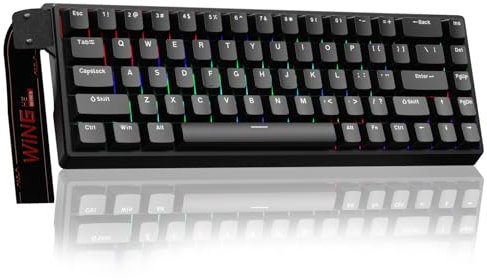 AULA WIN68 HE Mechanische Gaming Tastatur mit Kabel,Hall Effect Magnetic Switches,Rapid Trigger,Einstellbare Betätigung,60% RGB Tastatur für PC/Mac,QWERTY (Schwarz)