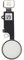 DHLK® Home Button Cable compatible with iPhone 8 Plus - No Touch ID Function (A1864, A1897, A1898) White