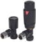 The Modern Thermostatic Radiator Valve and Lockshield | Angled | Black (Valve and 10mm Pipe Adapters)