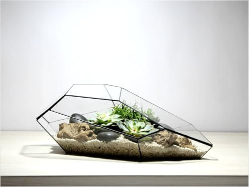 urbanjngl - Geometrisches Terrarium Plantasia - Glas-Vivarium für Flaschengarten und Pflanzenterrarium - Glas und Silikon, handgefertigt - 50 x 25 x 17,5 cm