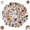 100 Stück Lustiges Katzen Aufkleber Set, Funny Meme Sticker Set, Meme Stickers for Car, süße Katzen Aufkleber, wasserfeste Vinyl Aufkleber ästhetische Aufkleber Wasserflaschen Sammelalbum Telefon