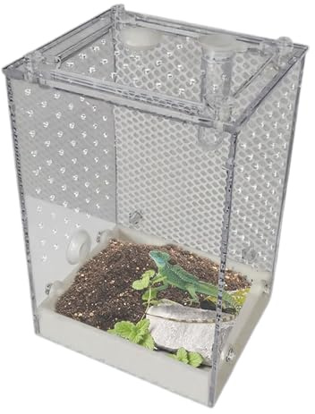 Kleines Terrarium für Reptilien, Vivarium, transparente Scheibe für Käfer – belüfteter Lebensraum für Springspinnen für Käfer, Kakerlaken, Ameisen, Mante, Skorpione, Erwachsene, Zimmer