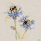 Jane Bannon WDC91687 Kunstleinwand Bees on Cornflowers, 30 x 30 cm, Mehrfarbig
