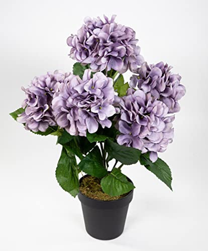 Seidenblumen Roß Großer Hortensienbusch 50x38cm lila im Topf GA Kunstpflanze Kunstblumen künstliche Hortensie Pflanze