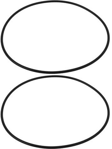 OTOTEC 2 Stück O-Ring Innendurchmesser 218 Mm X Drahtdurchmesser 5,3 Mm Ersatzdichtung Oring Kompatibel mit SunSun Kanisterfilter HW303A HW303B