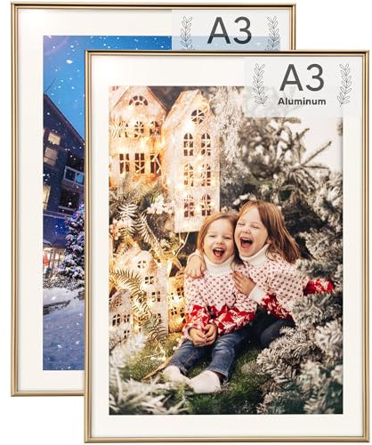 Rieeyrslza Aluminium Fotorahmen 29,7x42cm Dokumentrahmen 2 STK A3 Bilderrahmen Certiciate Posterrahmen Wand Bilderrahmen Fotorahmen Geeignet für Zuhause Schule Galerie(Champagner)