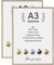 Rieeyrslza Aluminium Fotorahmen 29,7x42cm Dokumentrahmen 2 STK A3 Bilderrahmen Certiciate Posterrahmen Wand Bilderrahmen Fotorahmen Geeignet für Zuhause Schule Galerie(Champagner)