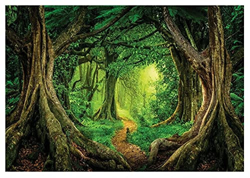 WallArena Vlies Fototapete, Wald, 460x300cm