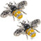 ANDRESLAD 2stücke Bienen Brosche Elegante Tier Broschen Für Damen Anstecknadeln Für Kleidung Hüte Und Schals Retro Design Dekoratives Schmuckstück Für Und Besondere Anlässe