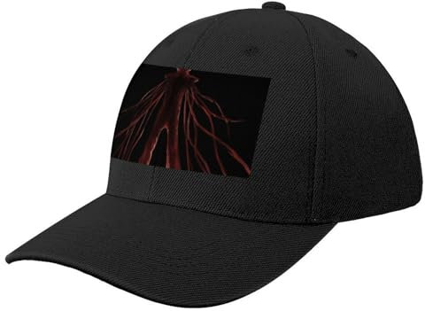 CWCMZDH Baseballmütze Basecap Vita Carnis-Monolith Baseball Kappe Große Größe Hut Geburtstag Anime Hut Für Frauen Männer