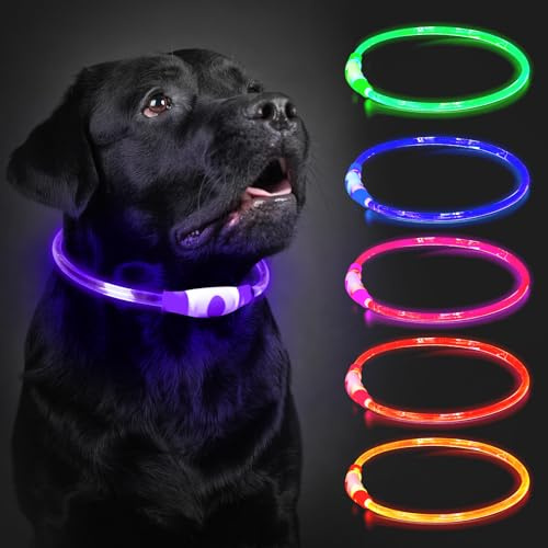 Leuchthalsband Hund Aufladbar, LED Hundehalsband Leuchtend wasserdicht mit 3 Lichtmodi in der Nacht Sicherheit für Kleine, Mittlere und Große Hunde Leuchthalsband, Violett 70cm