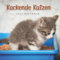 Kackende Katzen Kalender: Wandkalender 2023 - 8.5x8.5 inches - Geschenke für Familie und Freunde