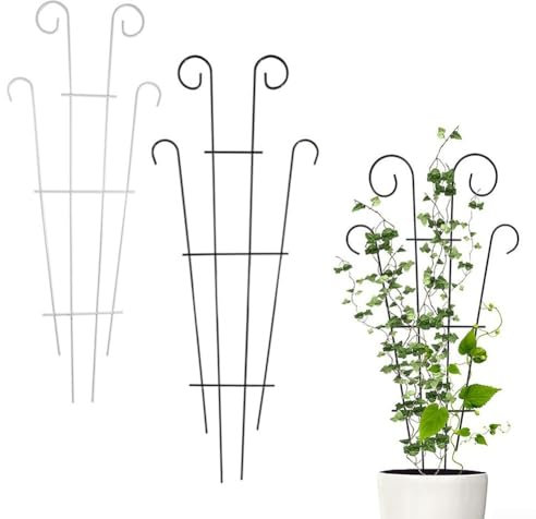 Metal Plant Trellis Fan Shape Garden Support for Climbing Plants Indoor Outdoor Wall Mounted Growing Frame for Ivy Roses Jasmine Grape Vines (White)