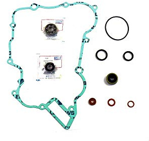 Athena Parts P400270475004 Dichtungssatz für Wasserpumpe, mit Lager, Schwarz