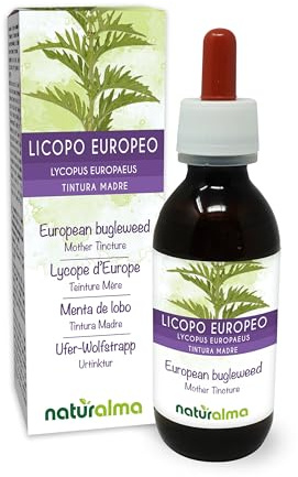Ufer-Wolfstrapp oder Gemeiner Wolfstrapp (Lycopus europaeus) Kraut Alkoholfreier Urtinktur Naturalma - Flüssig-Extrakt Tropfen 120 ml - Nahrungsergänzungsmittel - Veganer