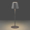 Elipta Rechargeable Battery Outdoor LED Table Lamp - Grey