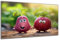 DARO Design - witziges Küchen-Bild auf 6mm HDF 40x30 cm Radieschen-Freunde - Wand-Deko Bilder Lustiges Geschenk