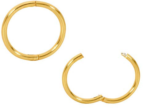 Sterling Silver Hinged Hoop Nose Helix Tragus Septum Segment Ring Sleeper Earrings - Hand Made In Australia - Nickel Free Hypoallergenic (8mm)