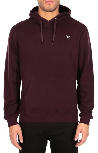 IRIEDAILY Herren Hoodie MINI Flag 2 Bio-Baumwolle Regular Fit aubergine