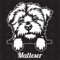 Malteser Version 2 - Sticker, Hundeaufkleber, Autoaufkleber, Hund, Auto, Hunderassen, Aufkleber, Mischling, Mix, Tiere, Haustier (AUCH MIT Wunschname MÖGLICH)