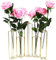 6-Pack Metal Hinged Plant Stand Set with Glass Test Tube Vases (Gold)