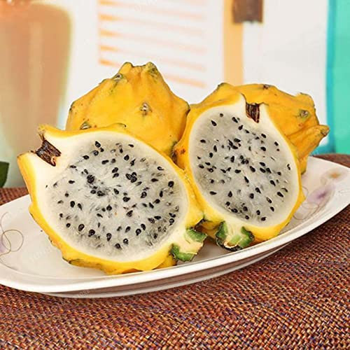 Haloppe 500 Stück Pitaya-Fruchtsamen für die Bepflanzung des Hausgartens, Pitaya-Samen, mehrjährige Pflanzen, Indoor-Outdoor-Samen für den Garten Gelb