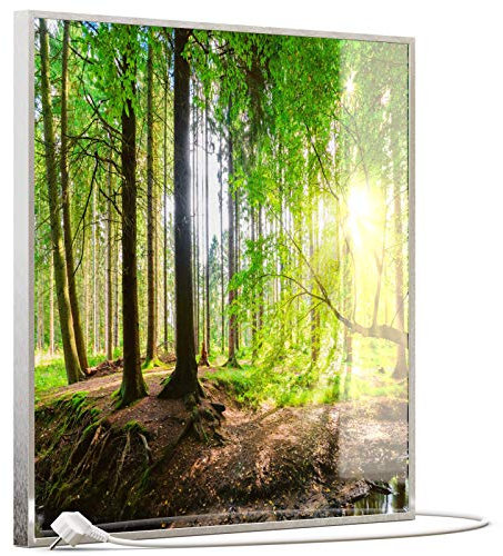STEINFELD Heizsysteme® Glas Bild Infrarotheizung mit Thermostat | Made in Germany | viele Motive 350-1200 Watt Rahmen silber/alu (350 Watt, 067 Wald Panorama)