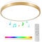 Horevo 30CM Bluetooth-Deckenleuchte mit Fernbedienung, 24W Champagnergoldene Deckenleuchte, Dimmbares und Farbwechselndes Licht mit Lautsprecherlicht Geeignet für Kinderzimmer Schlafgemach