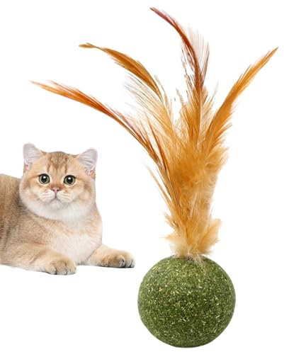Magic Cat Balls - Essbarer Katzenminze-Federball | Katzenspielzeug mit Federn | Sicheres gesundes Kätzchen-Kauspielzeug, Zahnreinigung | Magische Katzenbälle Katzenminze