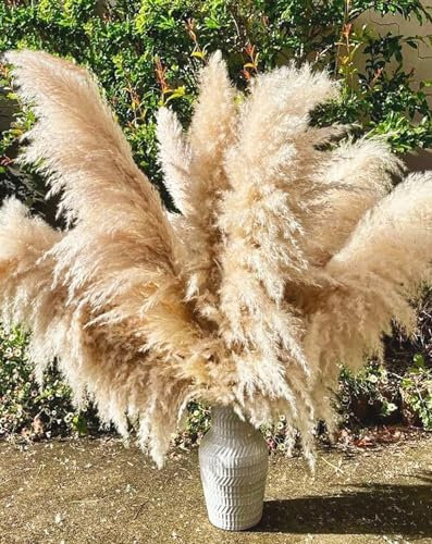 Pampasgras Groß, 16 Stück 110CM Pampasgras Deko Natürliche und Flauschige Pampas Grass XXL Getrocknet Bouquet für Tisch Schlafzimmer Hochzeit Wohnzimmer DIY Trockene Trockenblumen