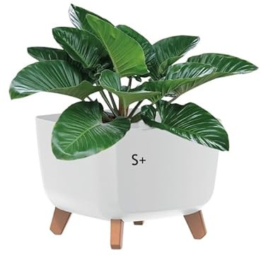 MELTOM Blumenschale Eckig mit Füßen 23 x 23 cm Weiß Blumentopf | Vier Standbeine in Holzoptik · fester Zwischenboden über dem Gießwasser · kein Abflussloch · 6 Liter · Innen & Außen