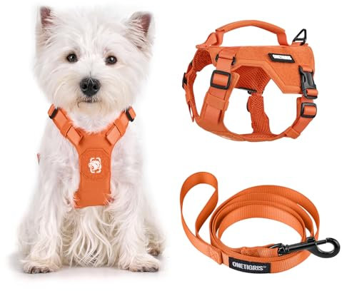 OneTigris Hundegeschirr Kleine Hunde mit Leine(150cm), MINI Trooper Welpengeschirr mit Steuergriff und 2 Abschlepppositionen für Kleine Hunde, Orange XS