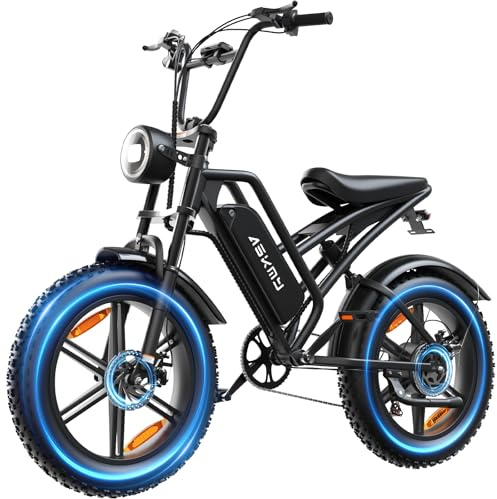 RPINT 20 Fat Tire Electric Bike for Adults, 1500W Peak Motor E-Bike with 48V 15Ah Removable Battery, 60 Miles PAS Range, 28MPH Dirt Electric Mountain Bicycles for Off Road and Commuting