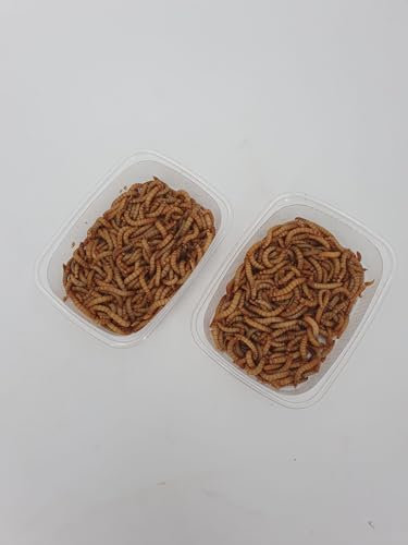 Lebende Mehlwürmer – Hochwertiges Protein-Futter für Igel, Reptilien, Hühner und Vögel – Literware für gesunde Ernährung und natürliches Fressverhalten! 250 ml lebend + 125 ml getrocknete Mehlwürmer